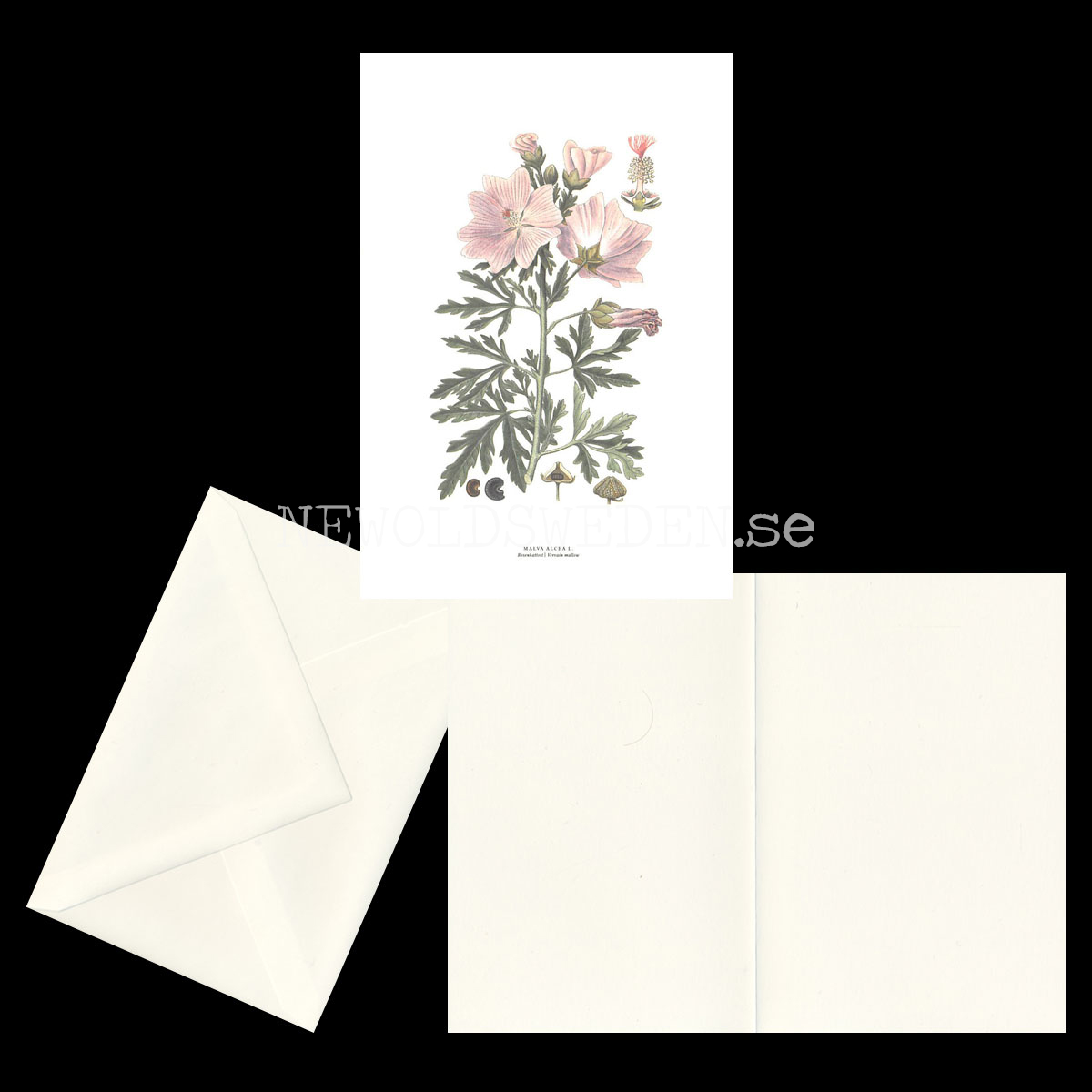 ROSENKATTOST - VERVAIN MALLOW - MALVA ALCEA L. -  C.A.M. Lindman - 770 - 2