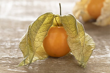 Cape Gooseberry (Physalis)