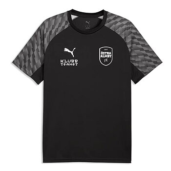 Puma Teamliga26  T-shirt (Östra Almby FK)