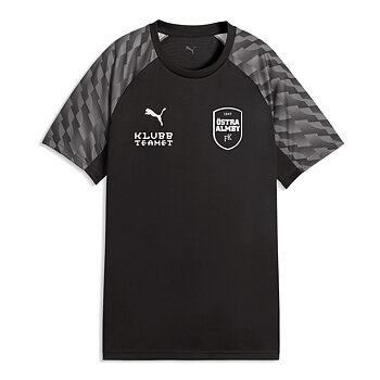 Puma Teamliga26 Jersey Wmn (Östra Almby FK)