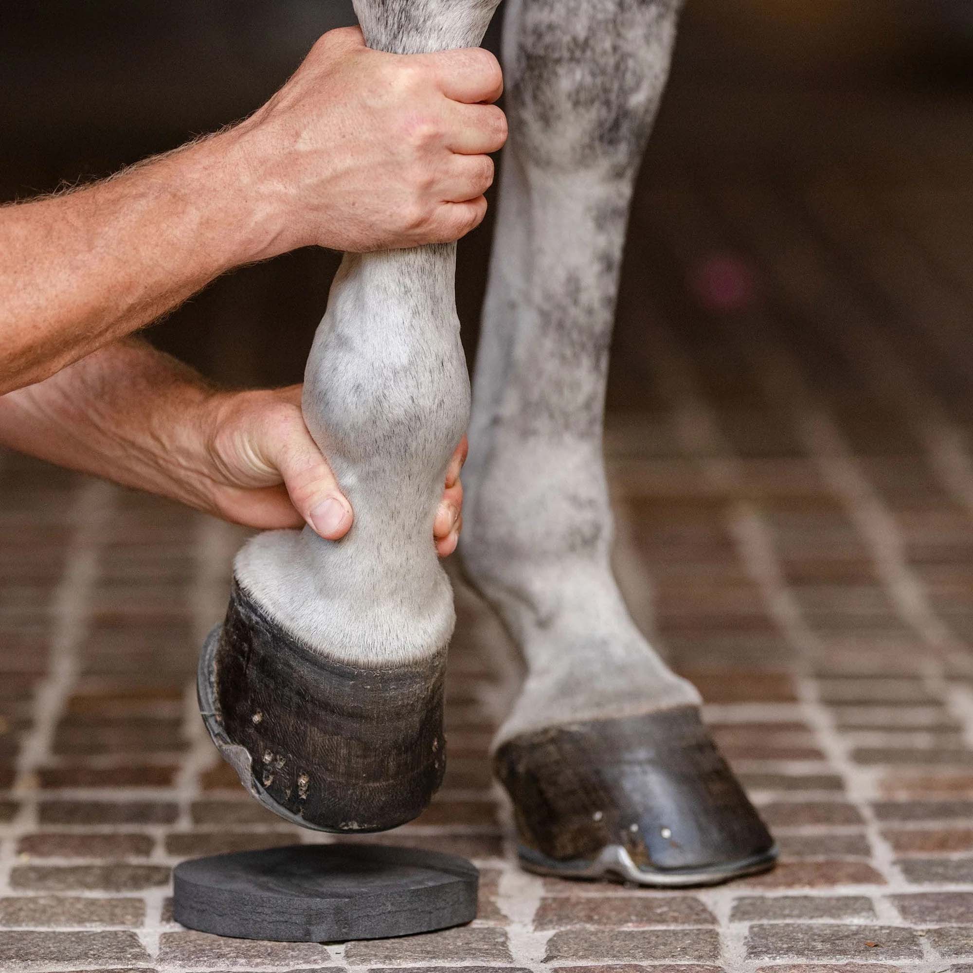 HoofSavers™ Pad - 2