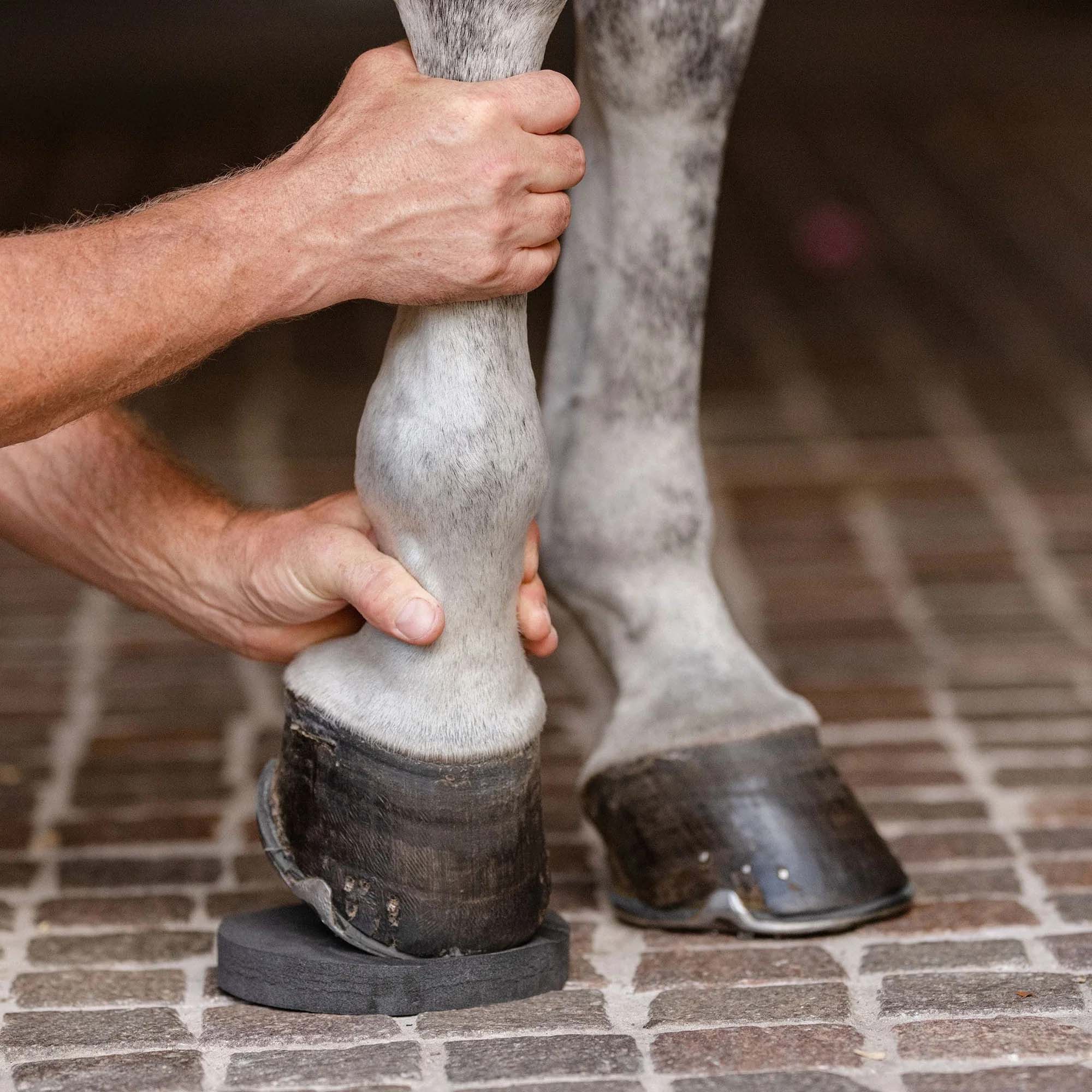 HoofSavers™ Pad - 7