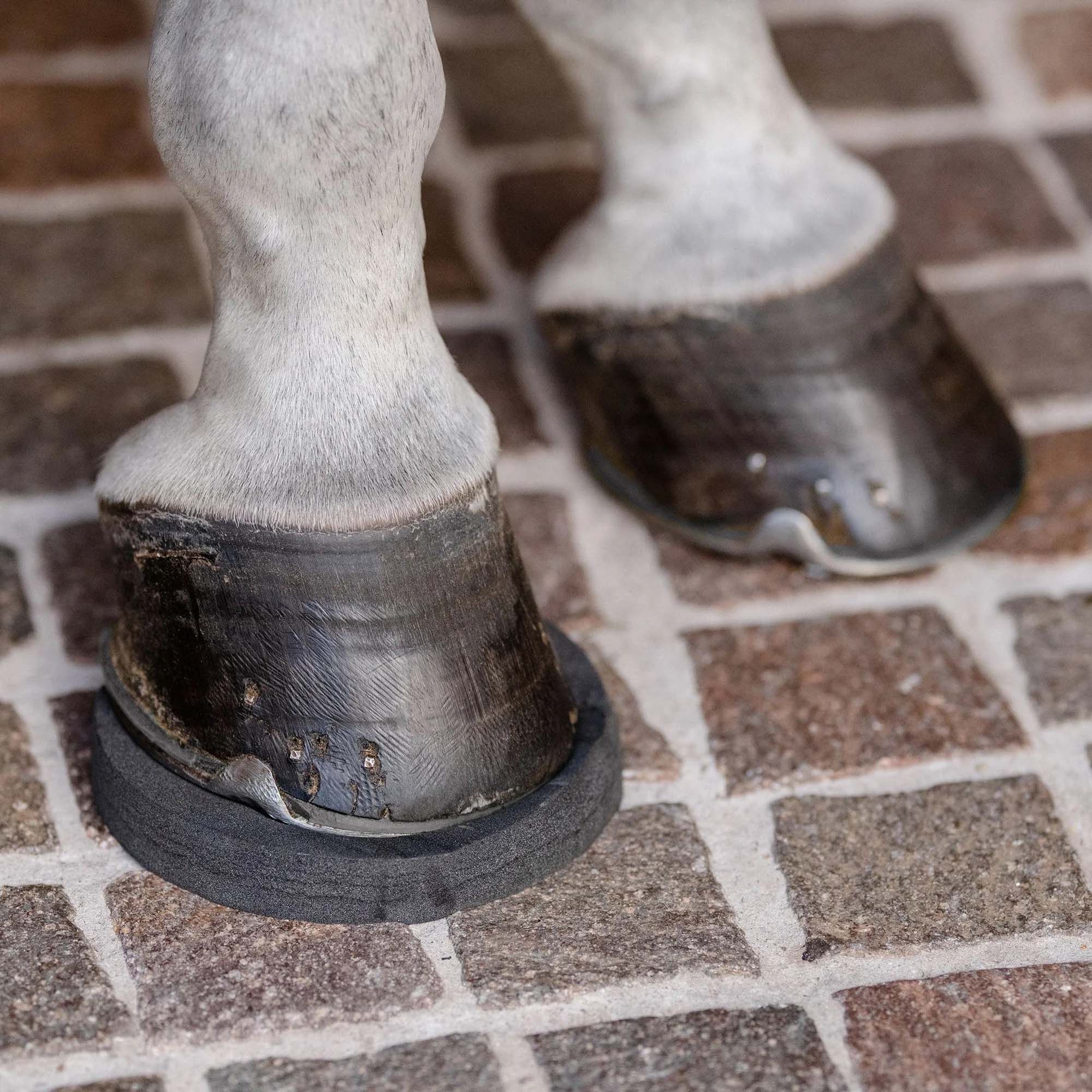 HoofSavers™ Pad - 8