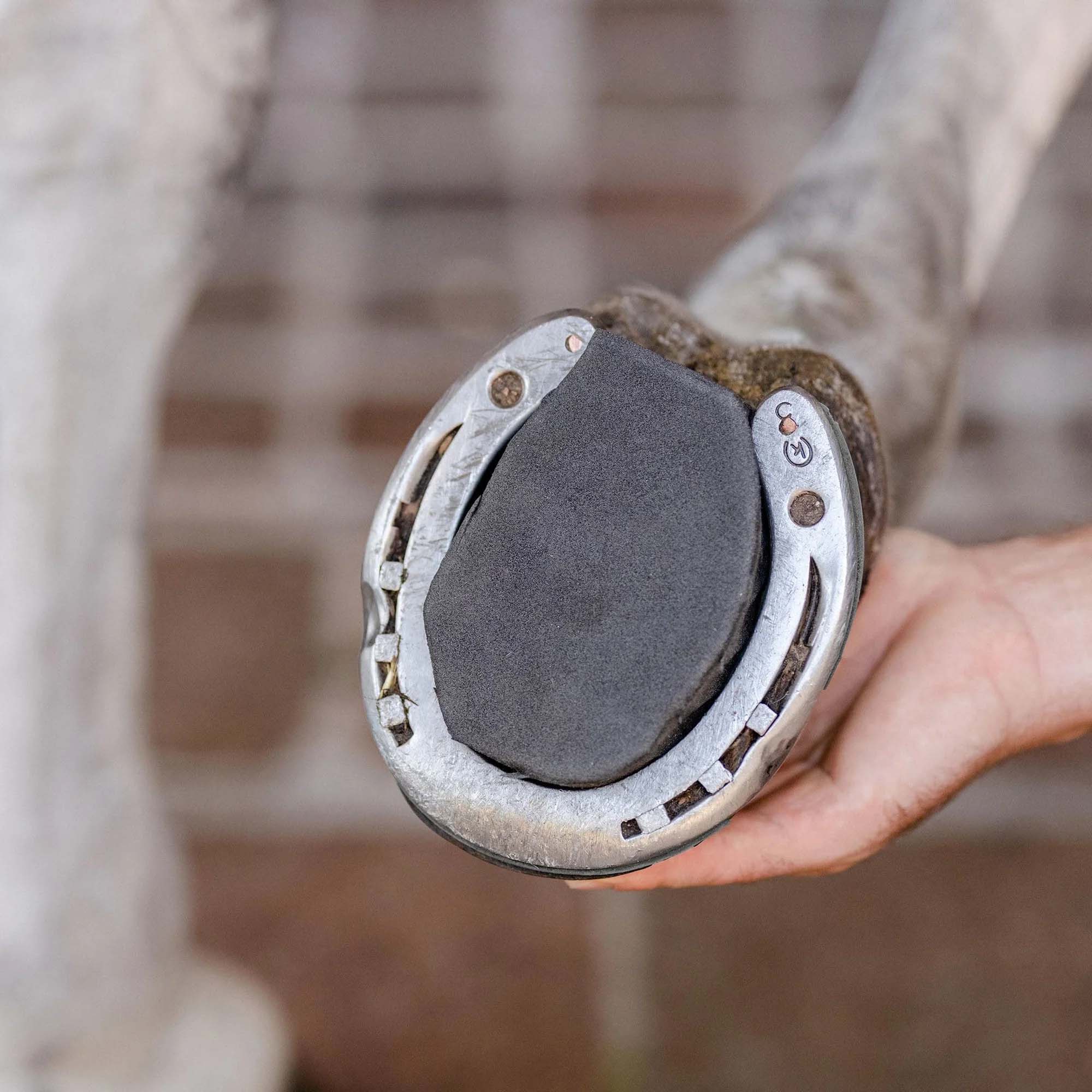 HoofSavers™ Pad - 6