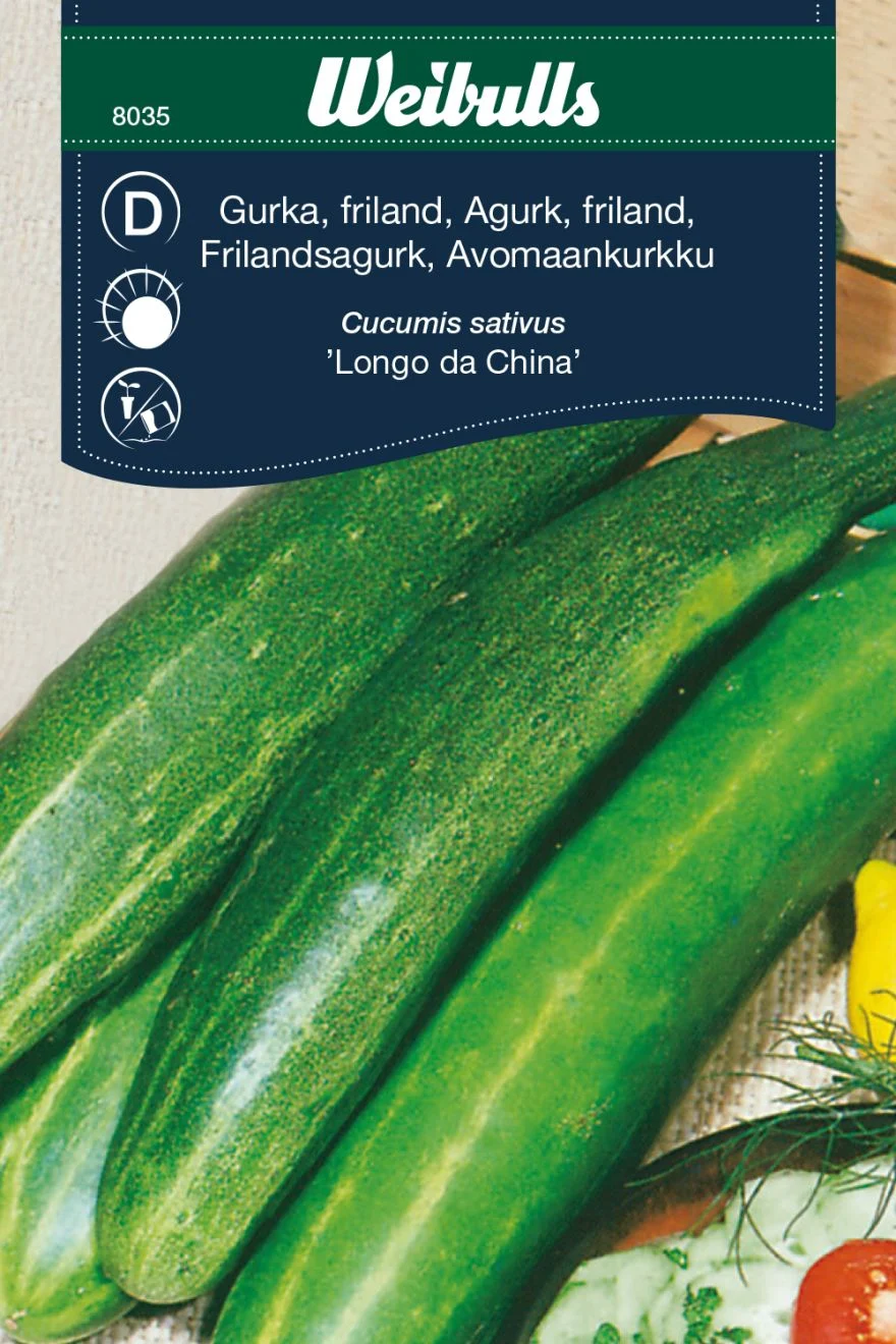 8035  Weibulls Gurka, frilands-, slang Longo da China