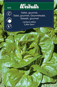 8245Weibulls Sallat, gourmet Little Gem