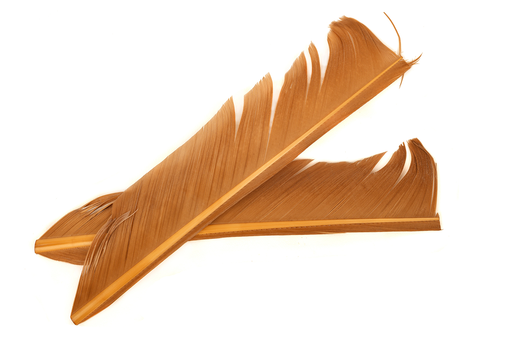 Turkey Biot Quills - Hareline - 3