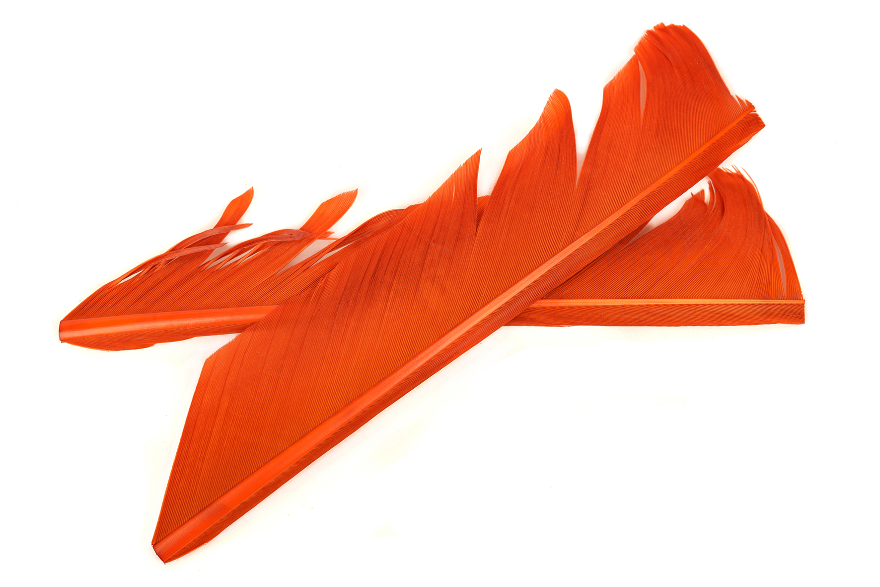 Turkey Biot Quills - Hareline - 5