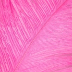 Fly Dressing - Ostrich Plumes - 2