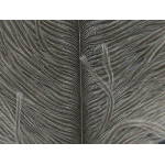 Fly Dressing - Ostrich Plumes - 5