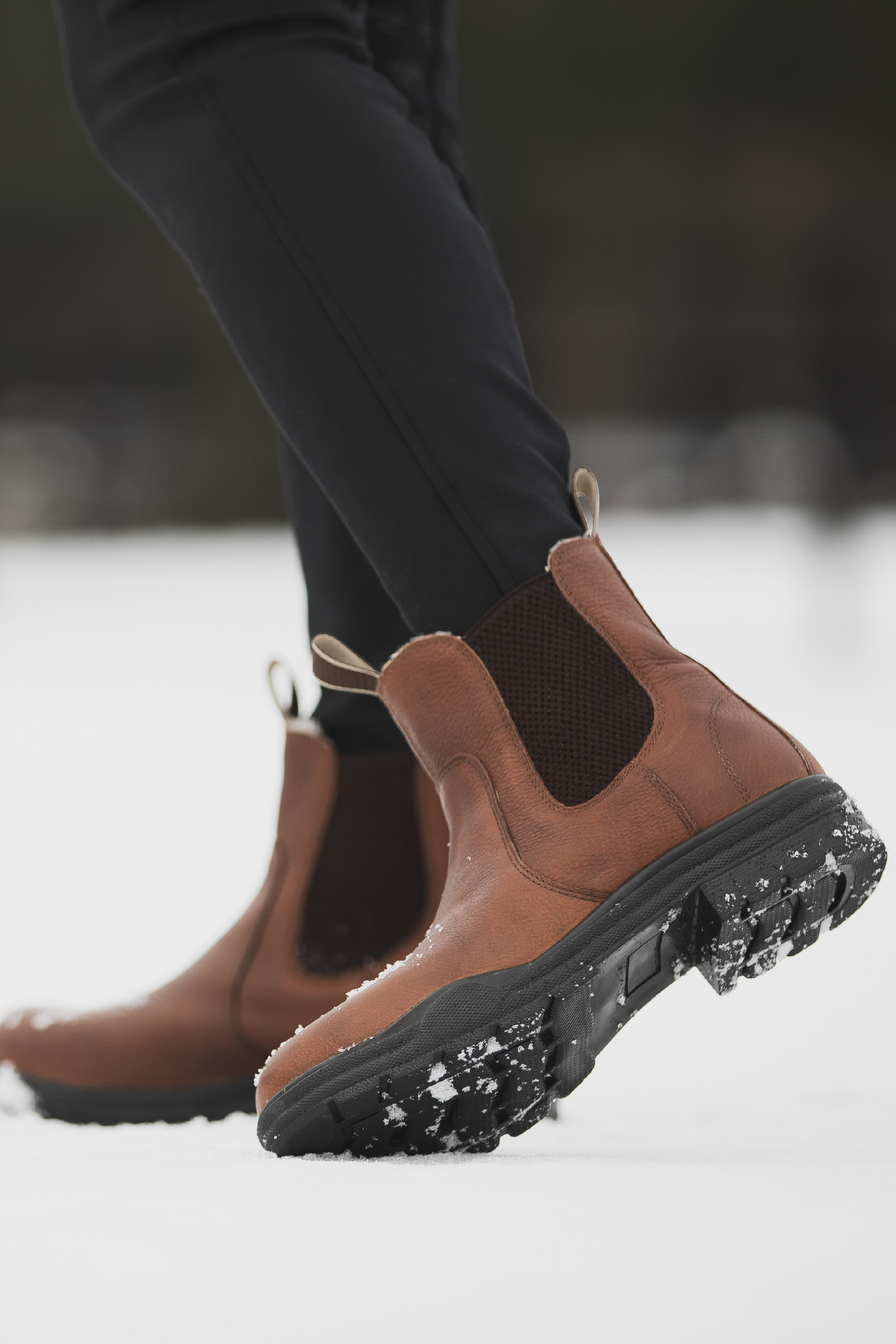 Horse Life Jodhpurs Winter Abisko - Brown