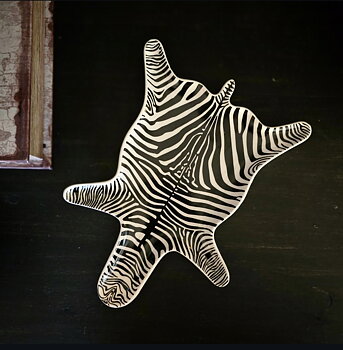 Dekoration Fat - Zebra