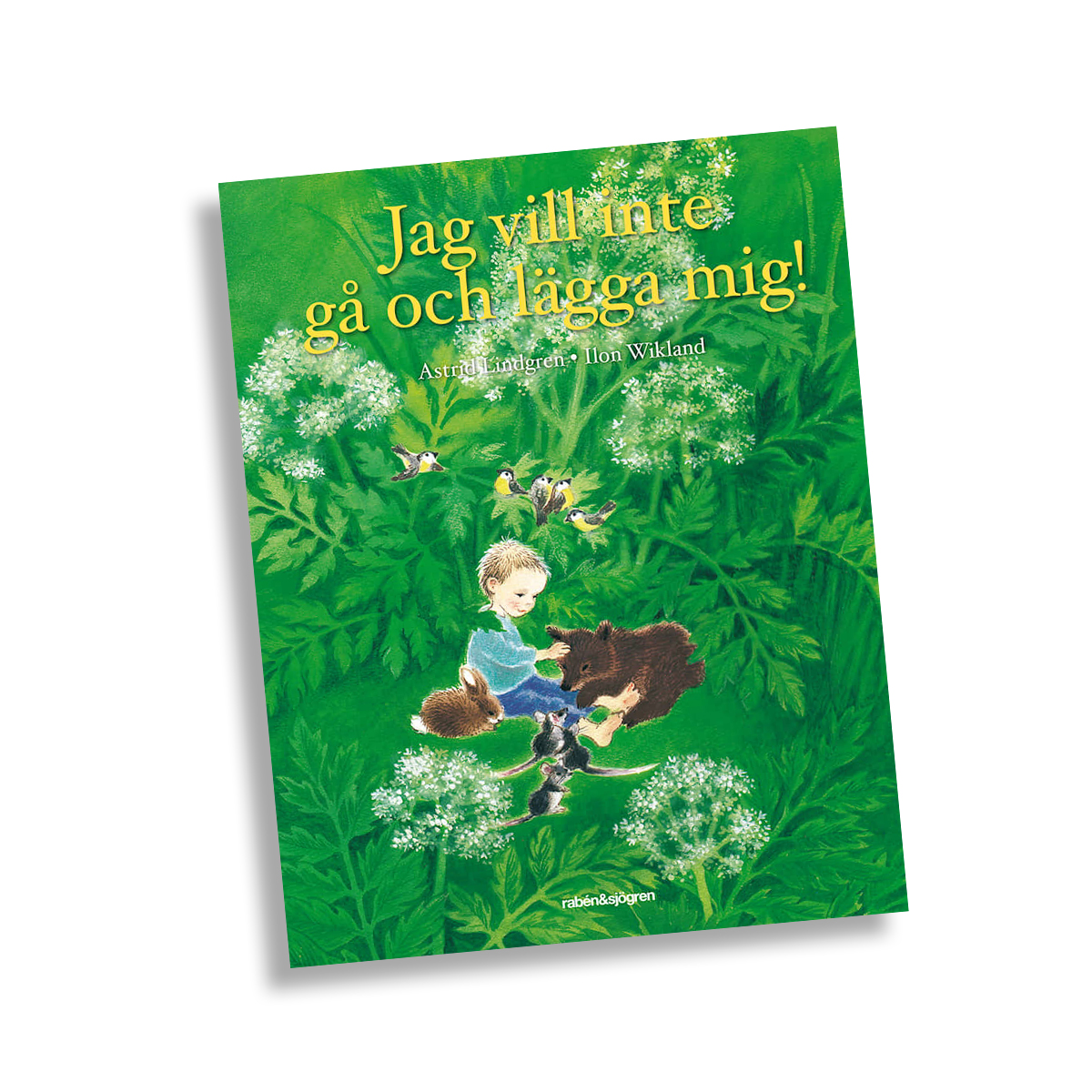 Jag Vill Inte Gå och Lägga Mig