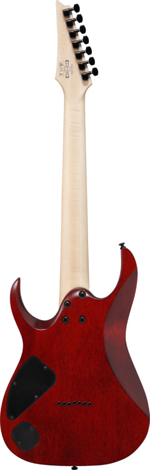 Ibanez RGA742FM-TGF - 3