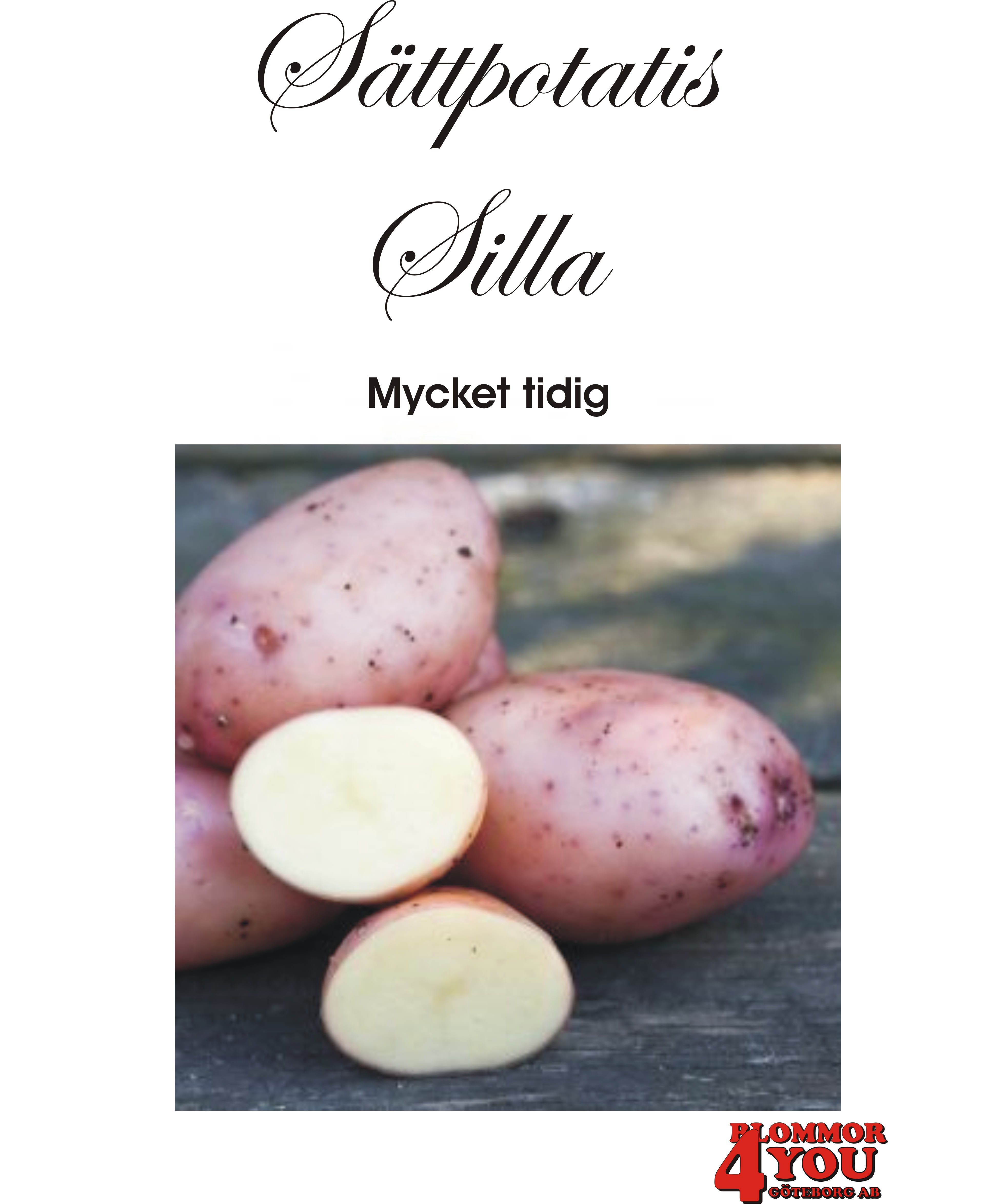 Sättpotatis Silla   1 Kilo