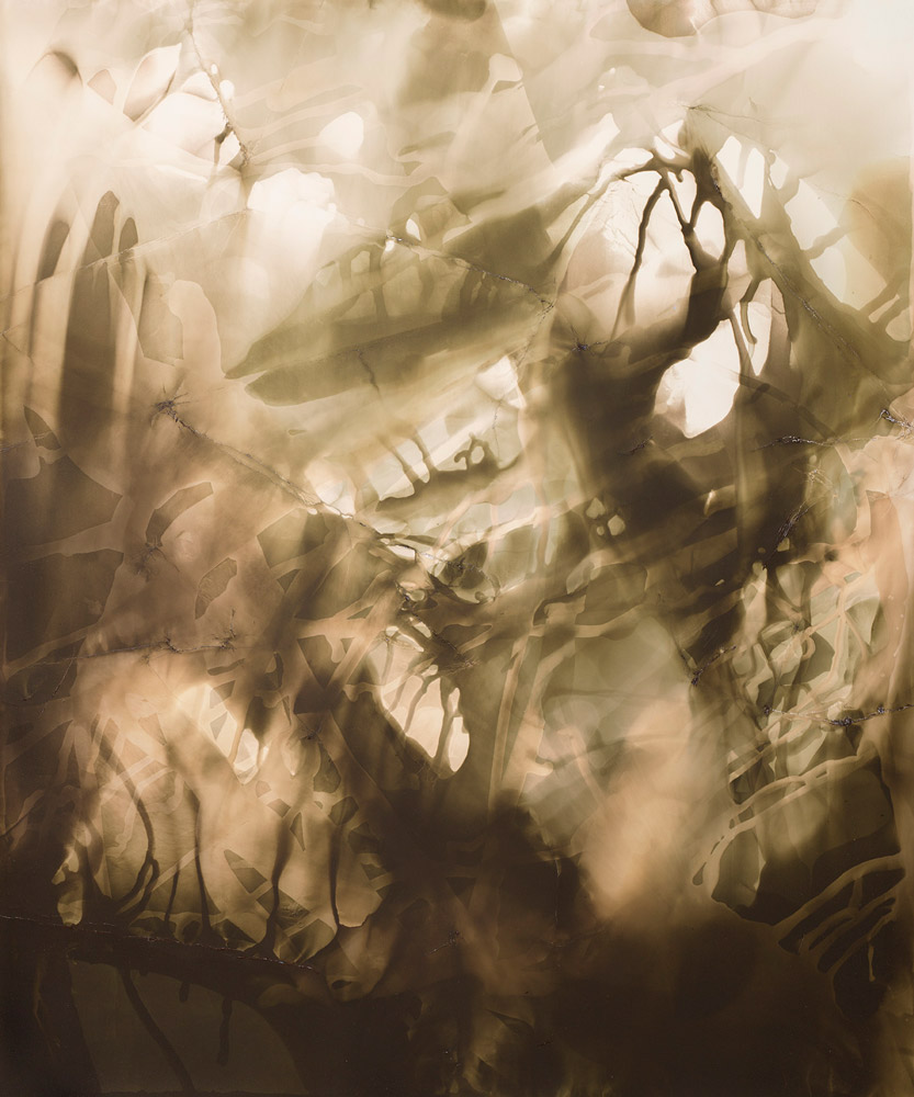 Åke E:son Lindman: Chemigrams [signed] - 6