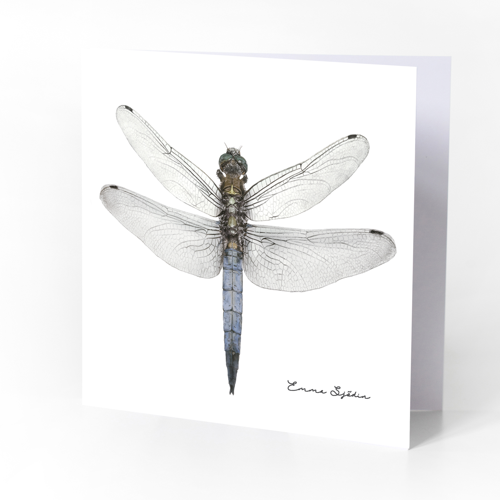 FOLDED CARD WITH ENVELOPE DRAGONFLY