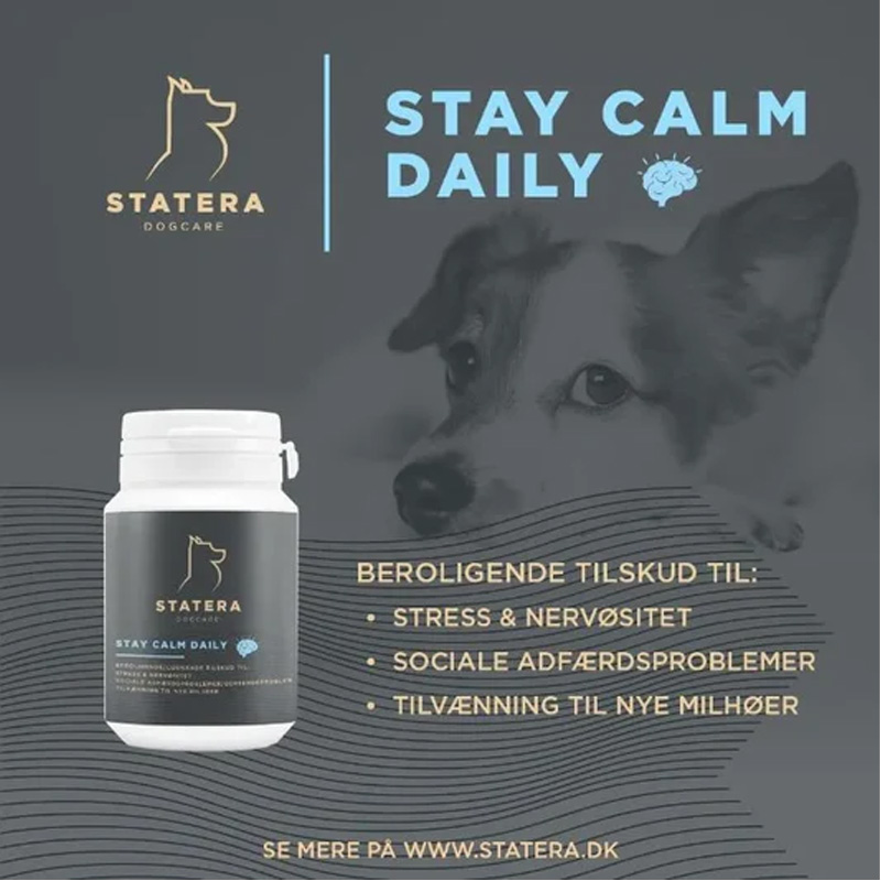 Statera stay calm tabletter