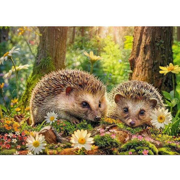 Cute Visitors, 500 Bitar CherryPazzi