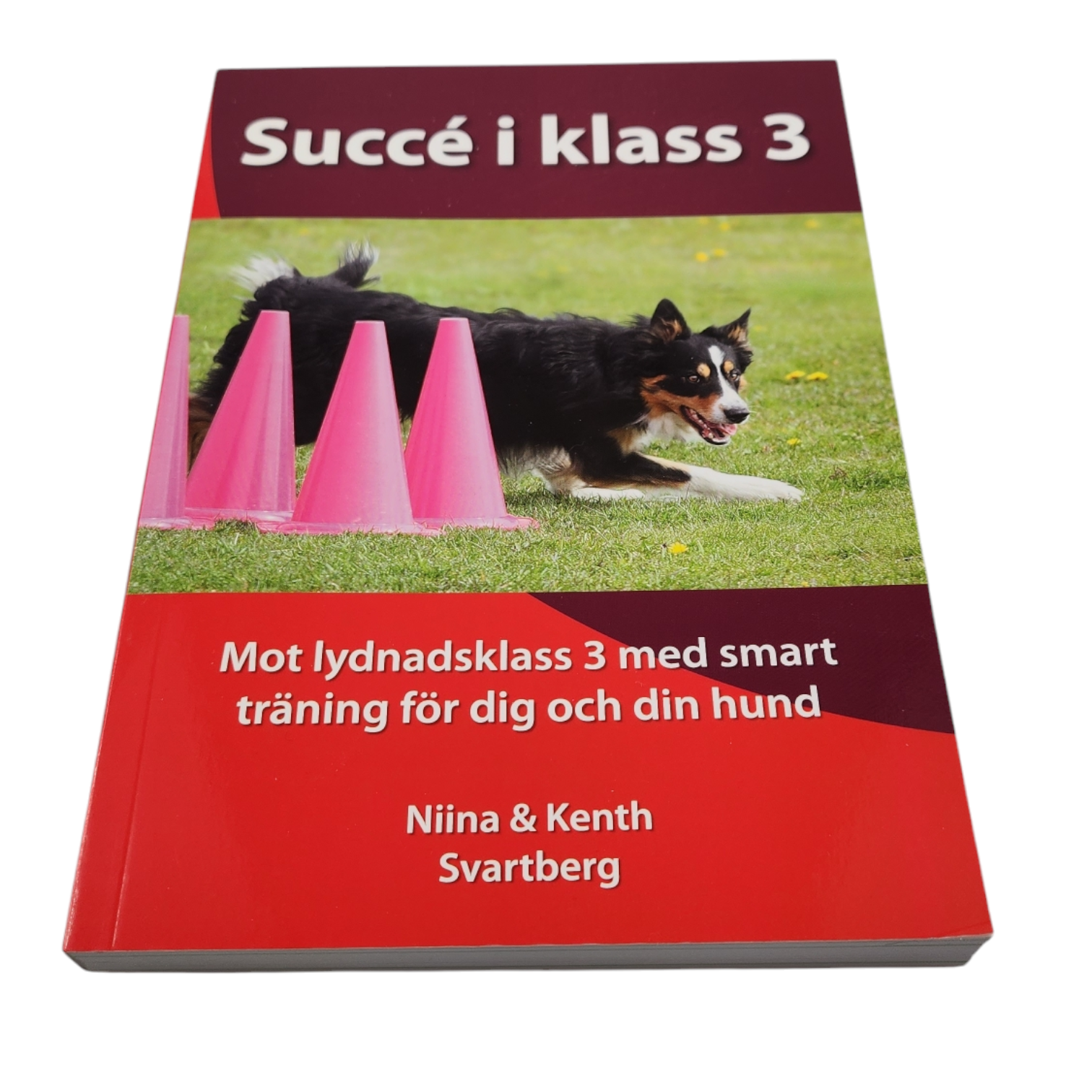 Succé i klass 3