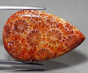 Piedra preciosa de coral natural completamente única de 22,68 ct - 3
