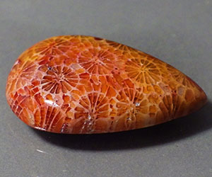 Piedra preciosa de coral natural completamente única de 22,68 ct - 2