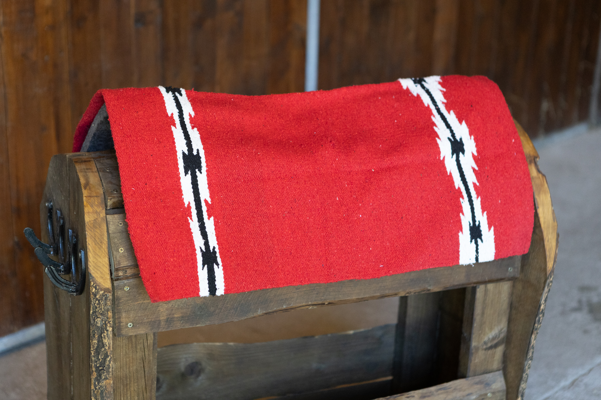 All That Saddle Blanket Pony - 2
