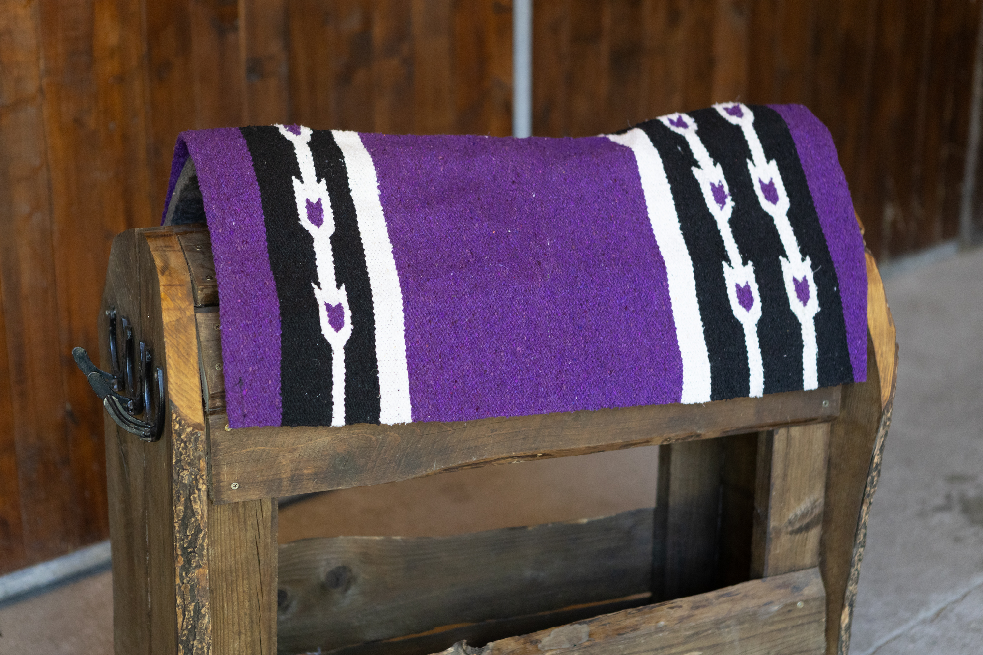 All That Saddle Blanket Pony - 3