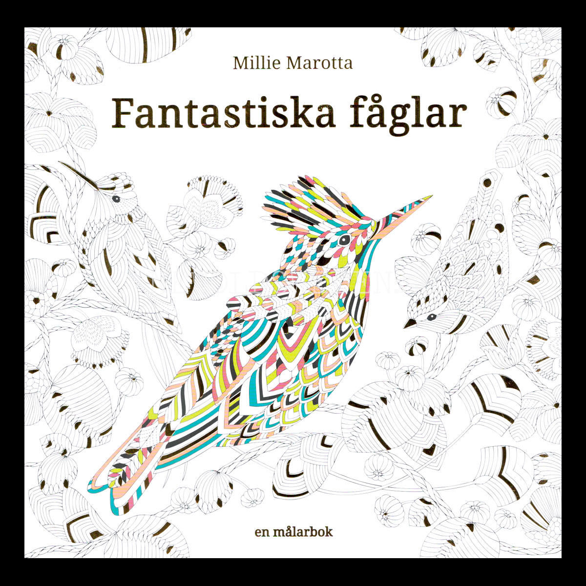 FANTASTISKA FÅGLAR Millie Marotta 96 sidor - S12 - 4