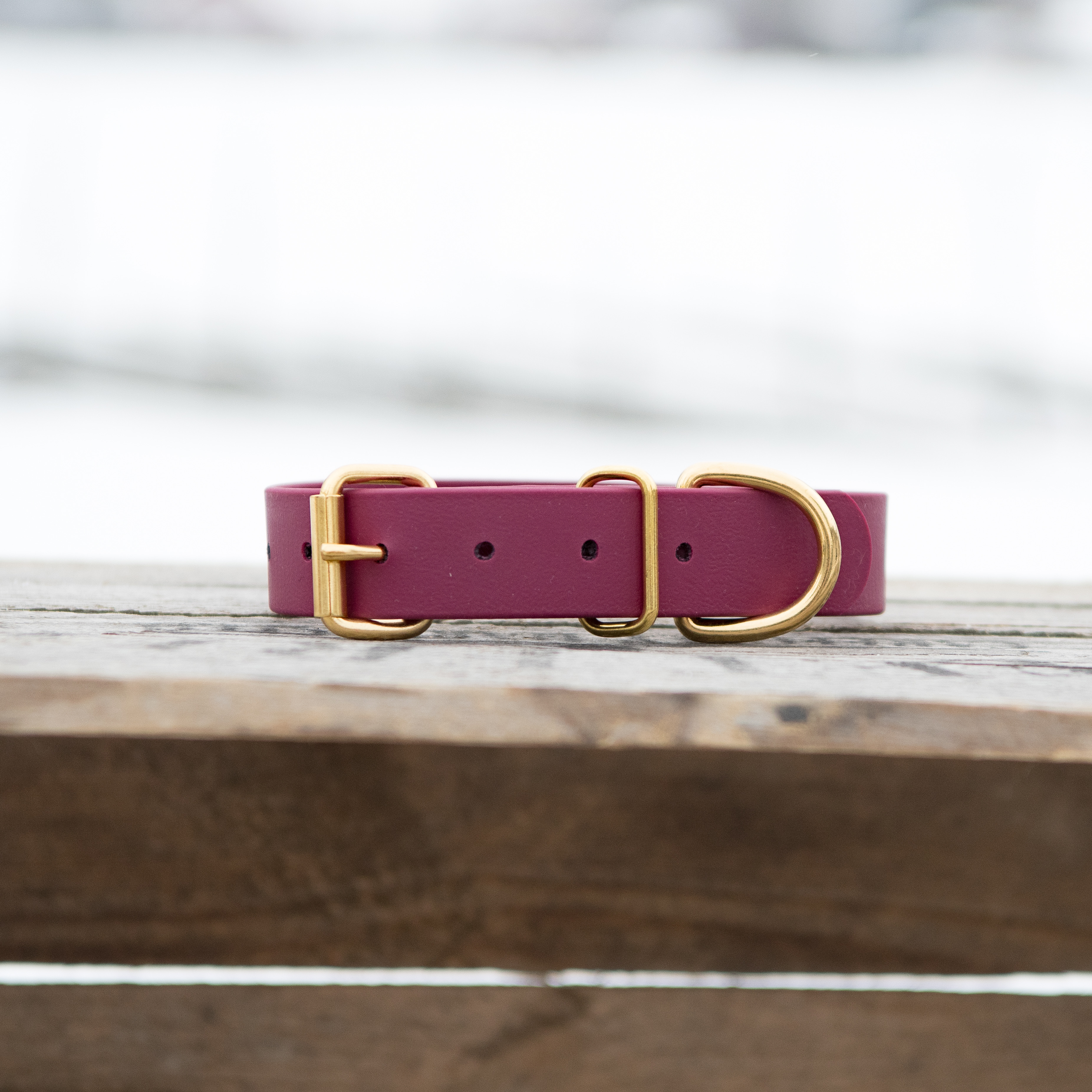 Ställbart halsband i BioThane Beta®  - 2