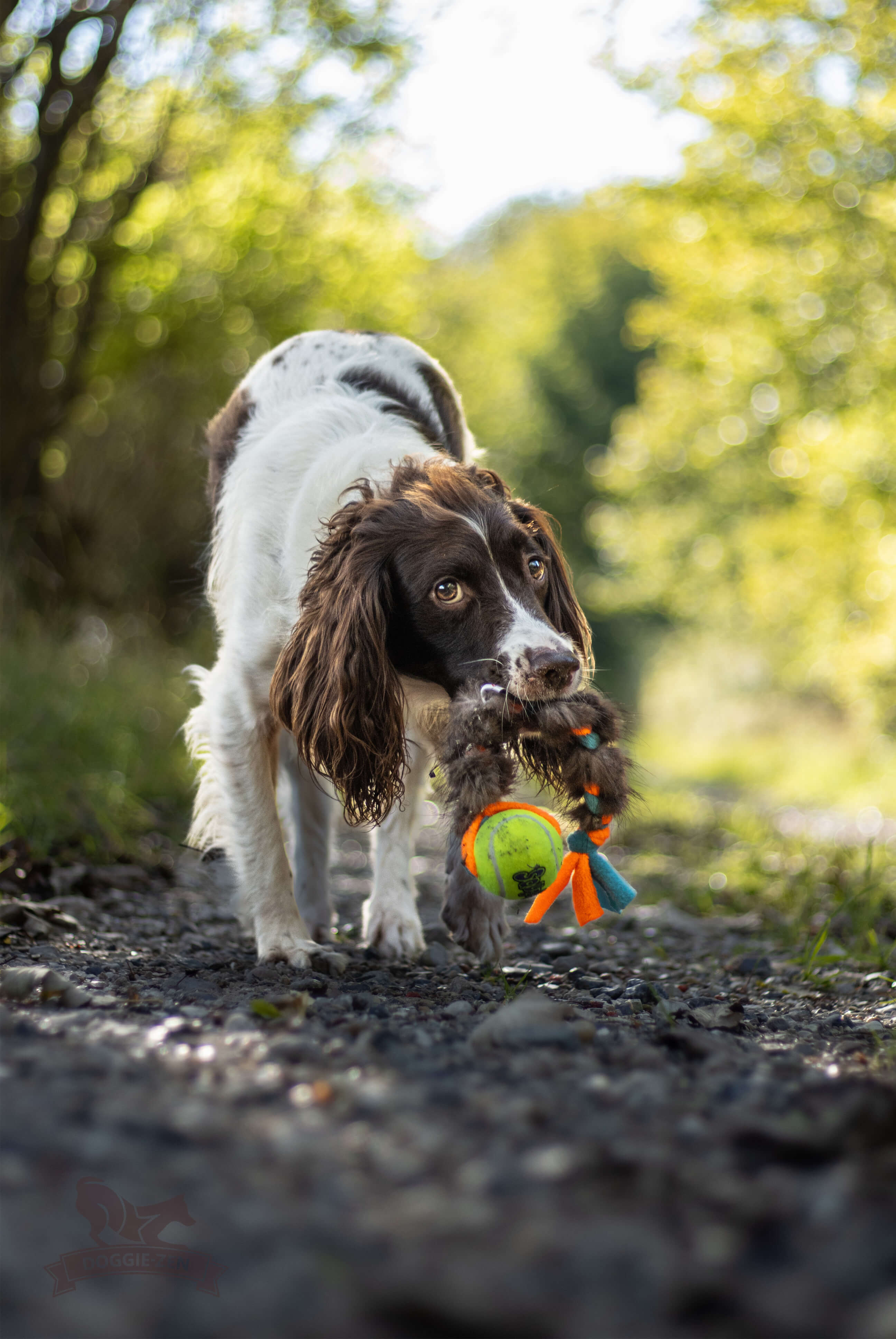 Fleece 'n Beaver Braid with KONG Air Squeaker Ball - 2