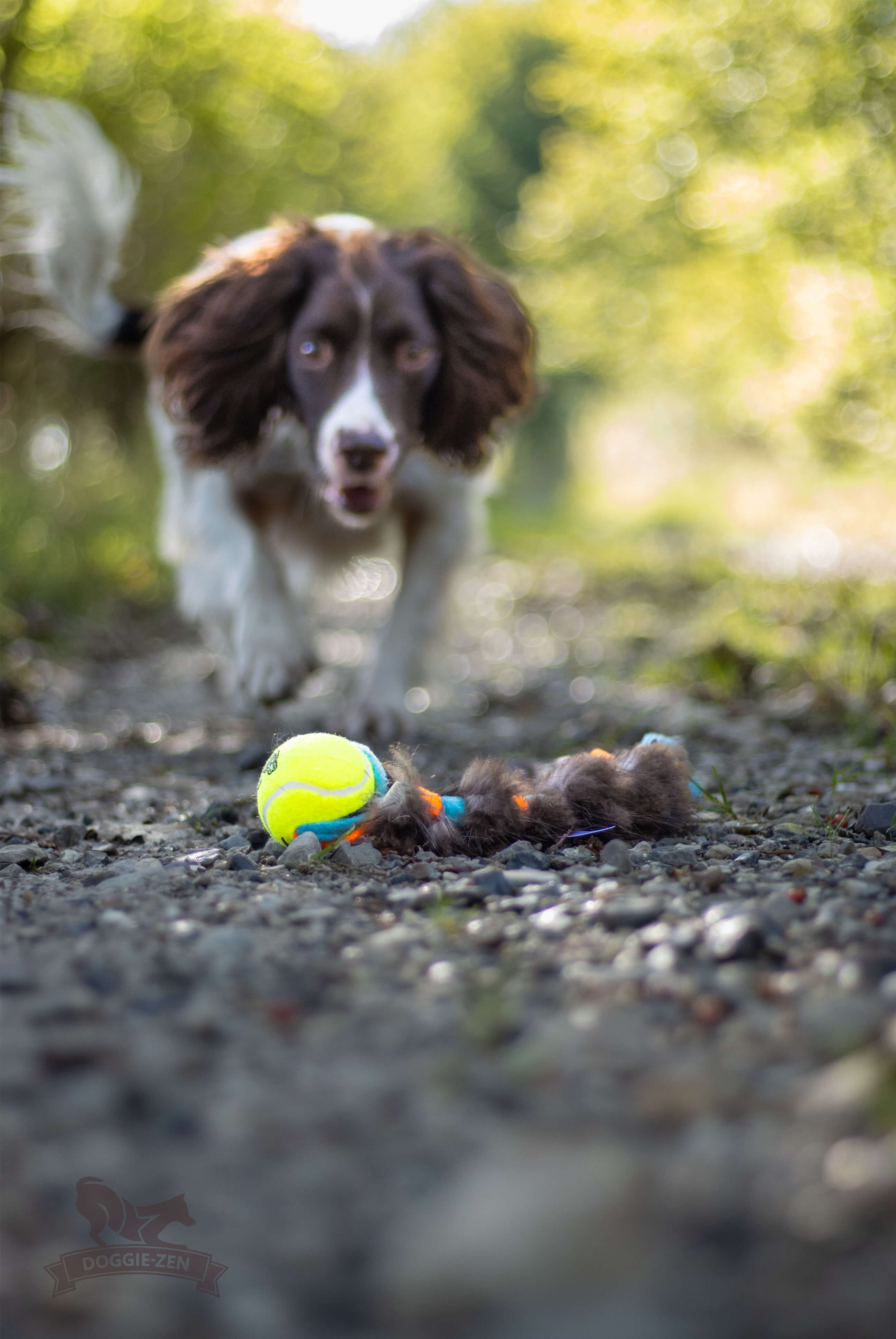 Fleece 'n Beaver Braid with KONG Air Squeaker Ball - 5