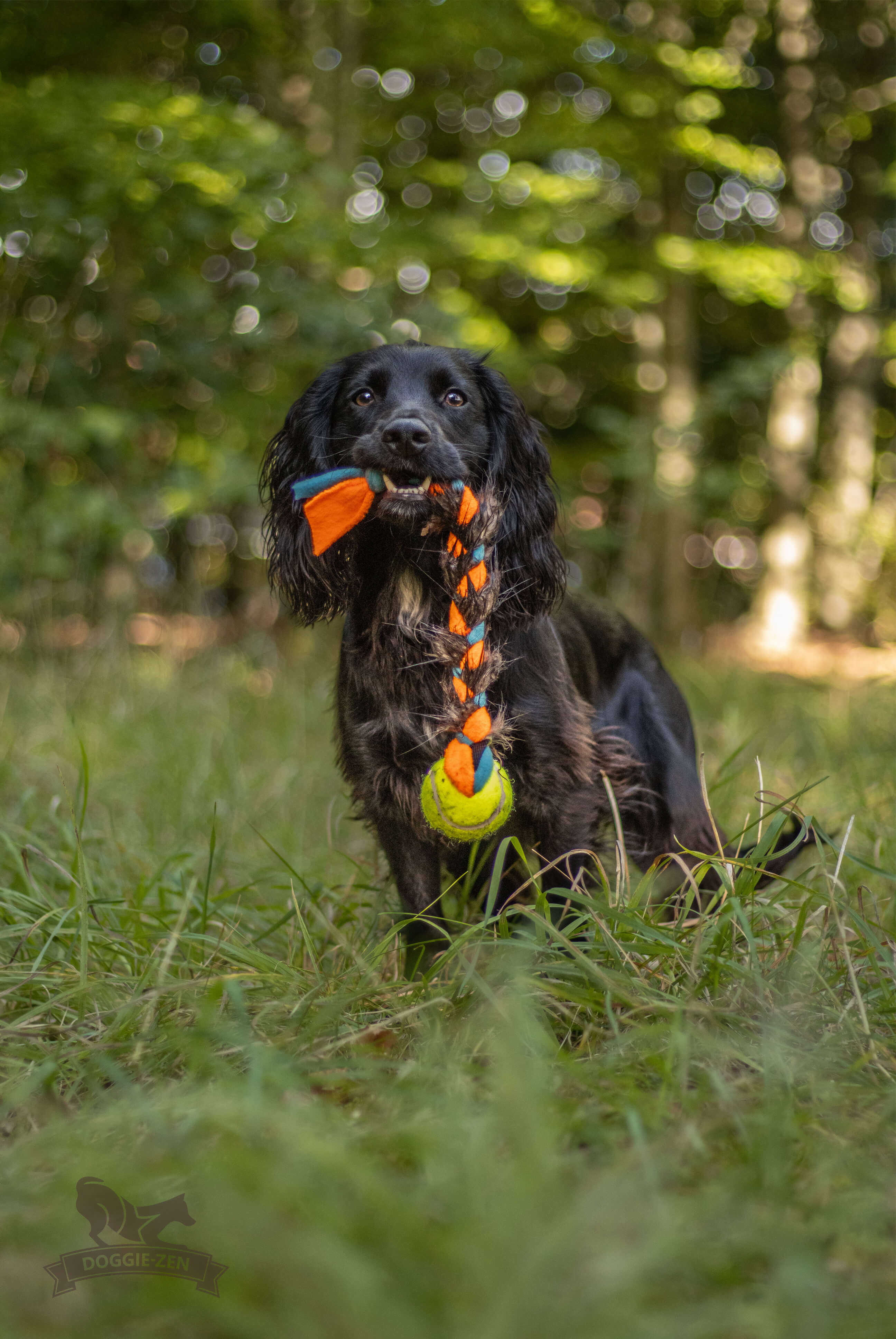 Fleece 'n Beaver Braid with KONG Air Squeaker Ball - 6