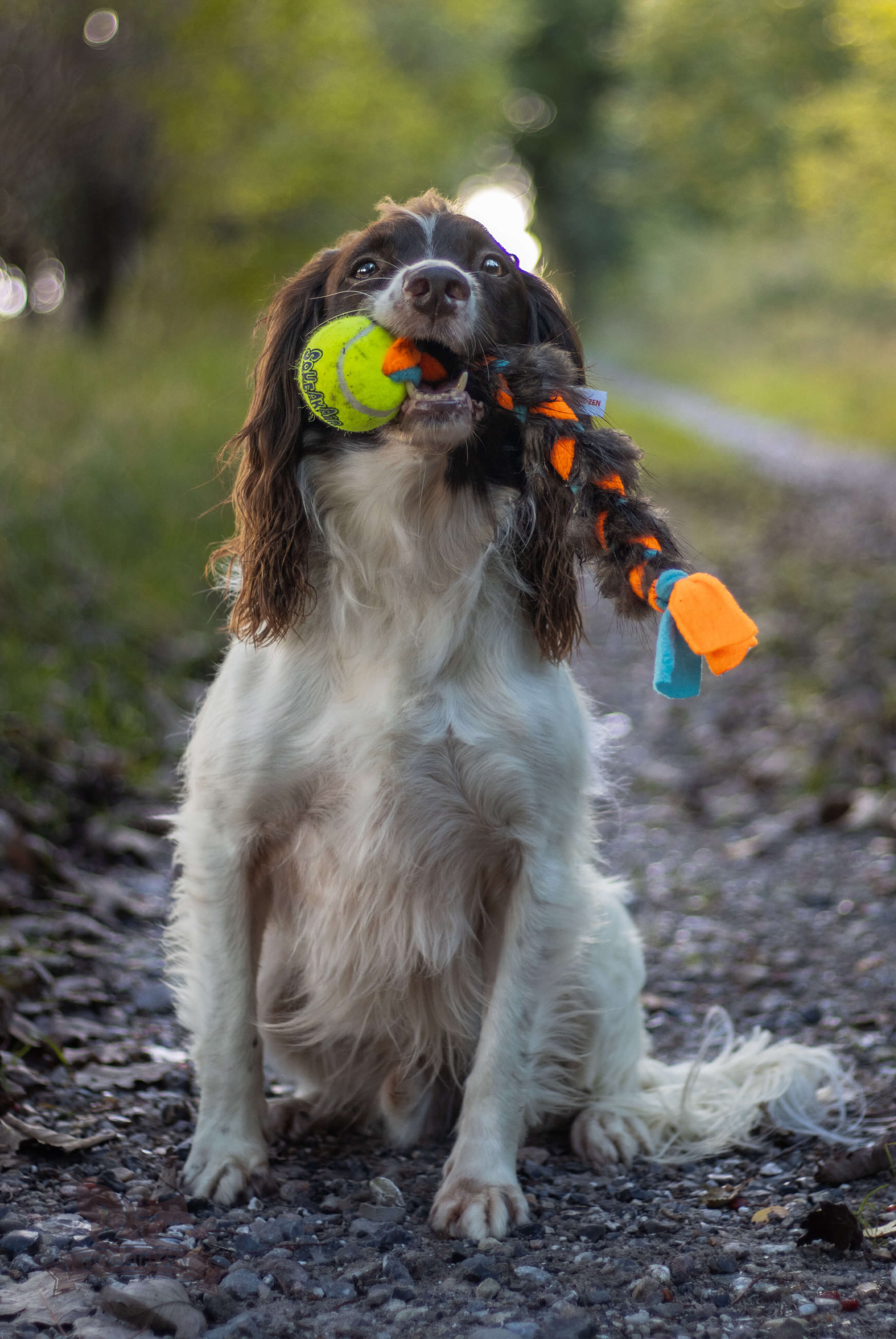 Fleece 'n Beaver Braid with KONG Air Squeaker Ball - 7