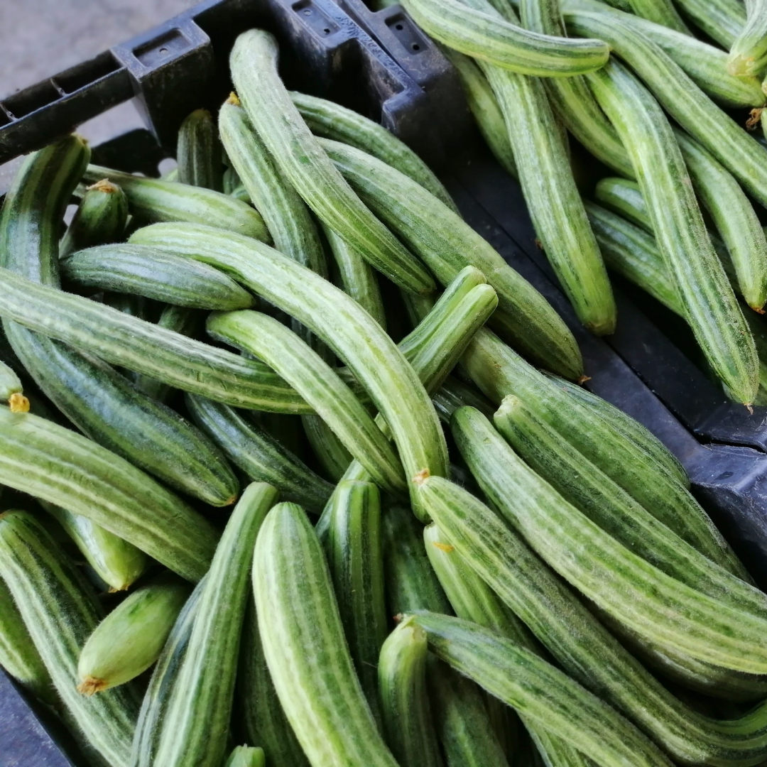 Ekologisk Armenisk Gurka - Armenian Striped