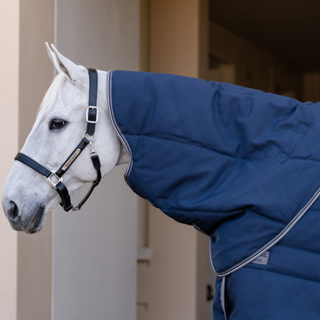 RAMBO OPTIMO STABLE RUG 200GR PLUS - 3