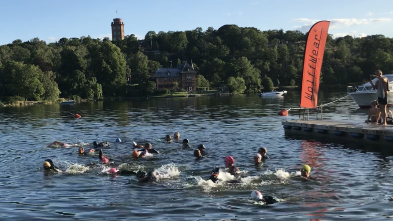 Try Triathlon Training/Race   2026 - 3