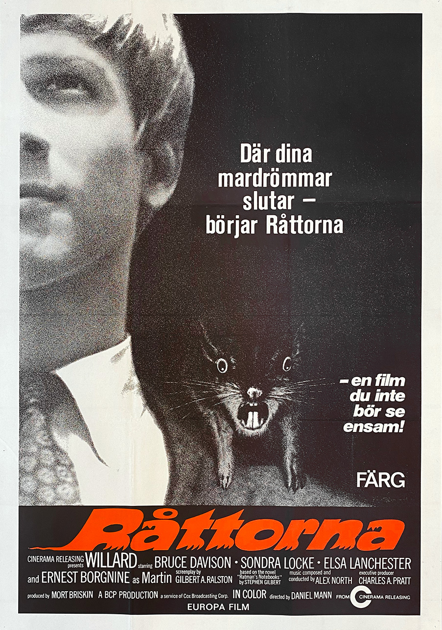 RÅTTORNA