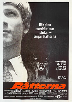 RÅTTORNA