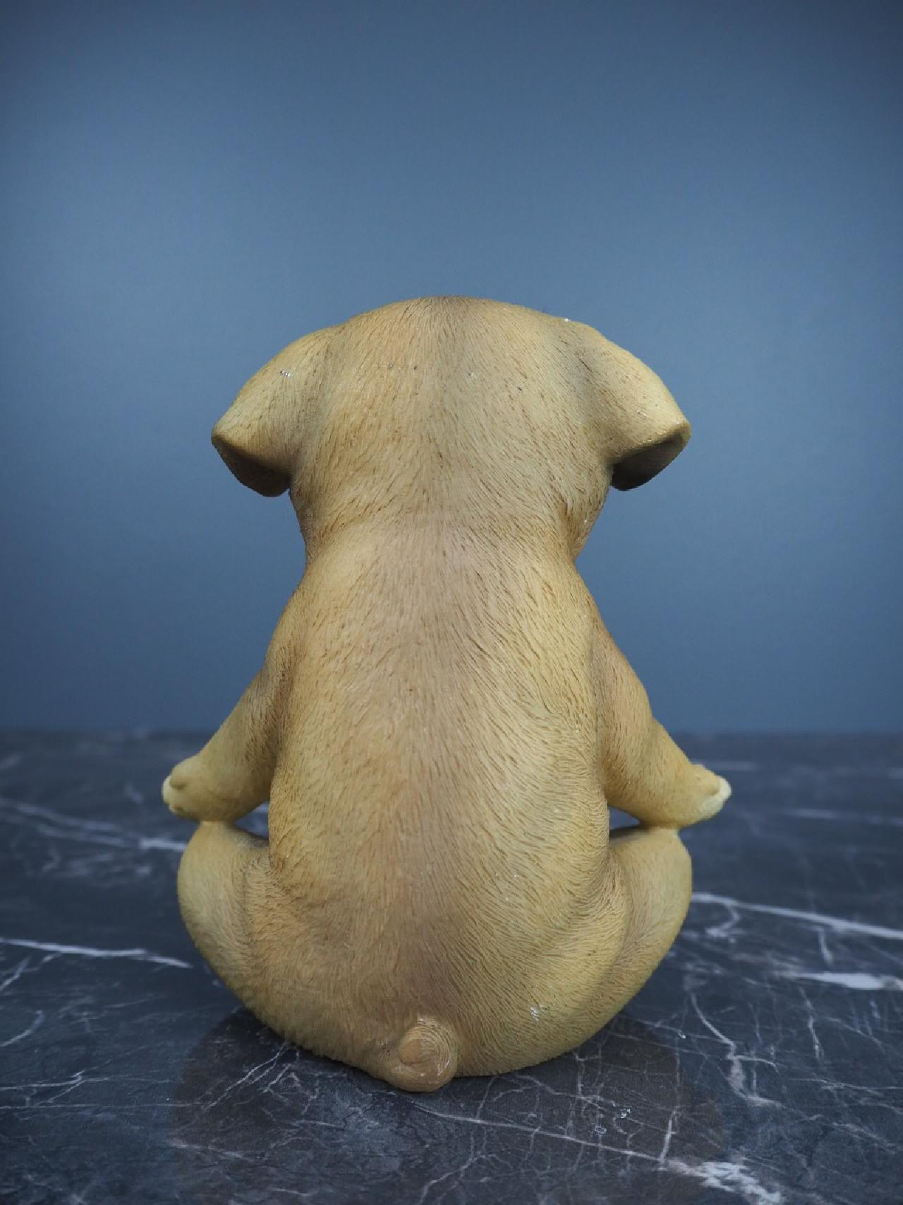 Yoga puppy - 3