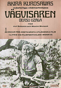 VÄGVISAREN