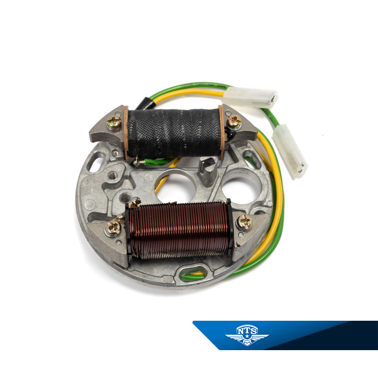 Zündanlage schalterlos 6V-33W für Sachs 50S - 2