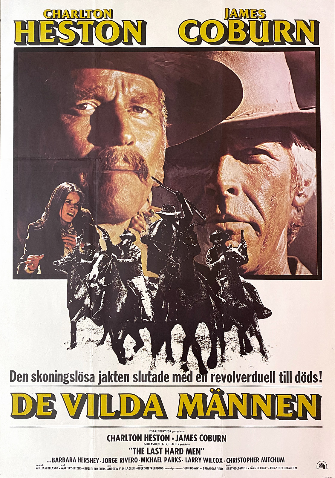 DE VILDA MÄNNEN