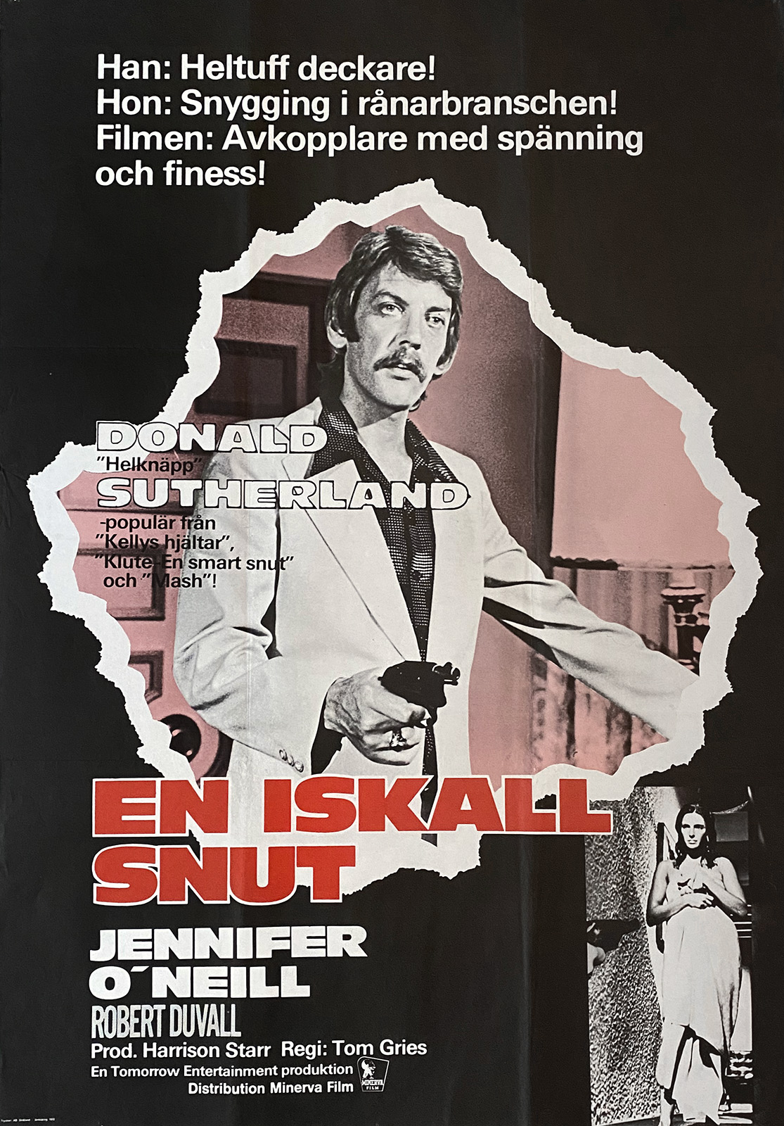 EN ISKALL SNUT