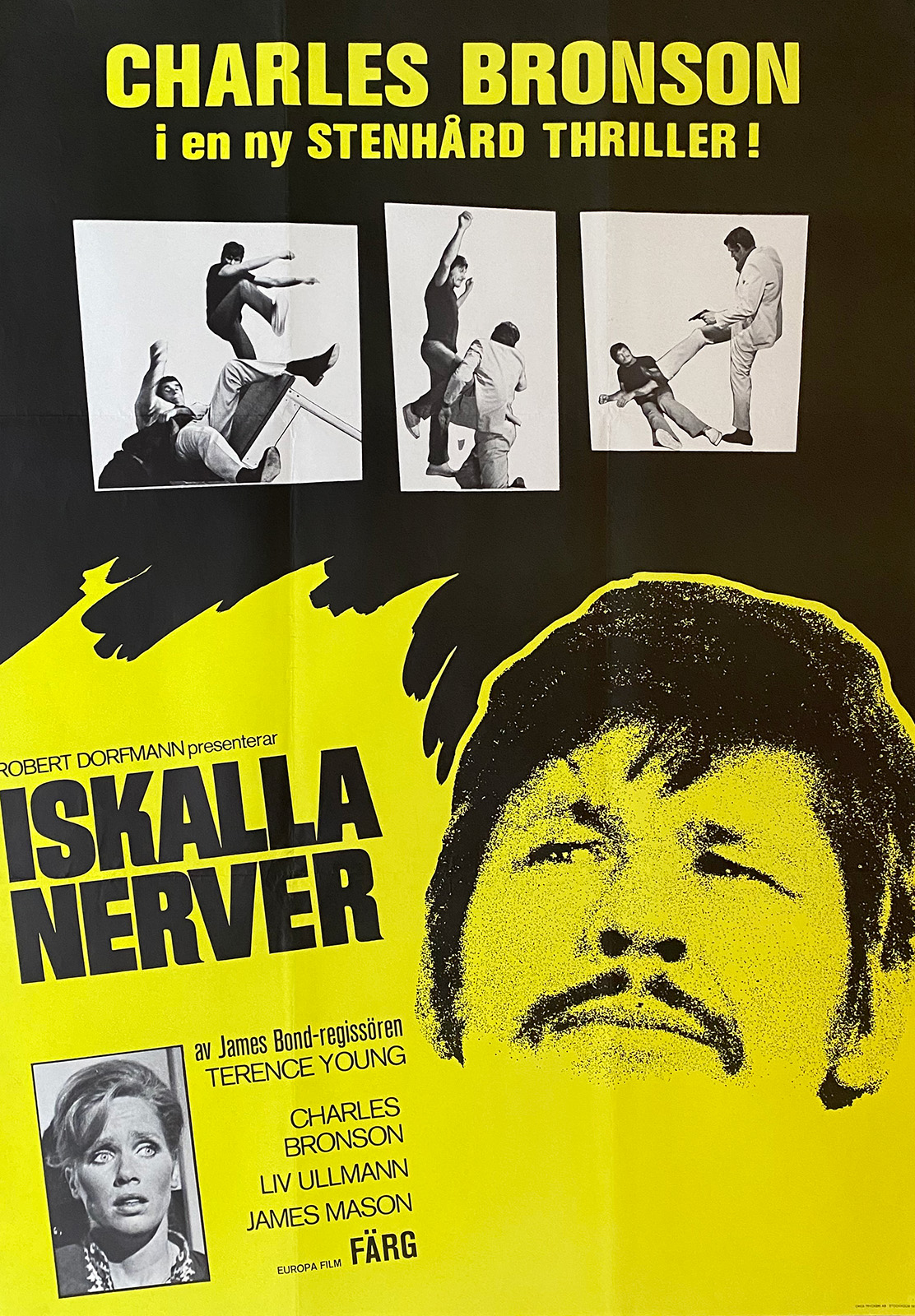 ISKALLA NERVER