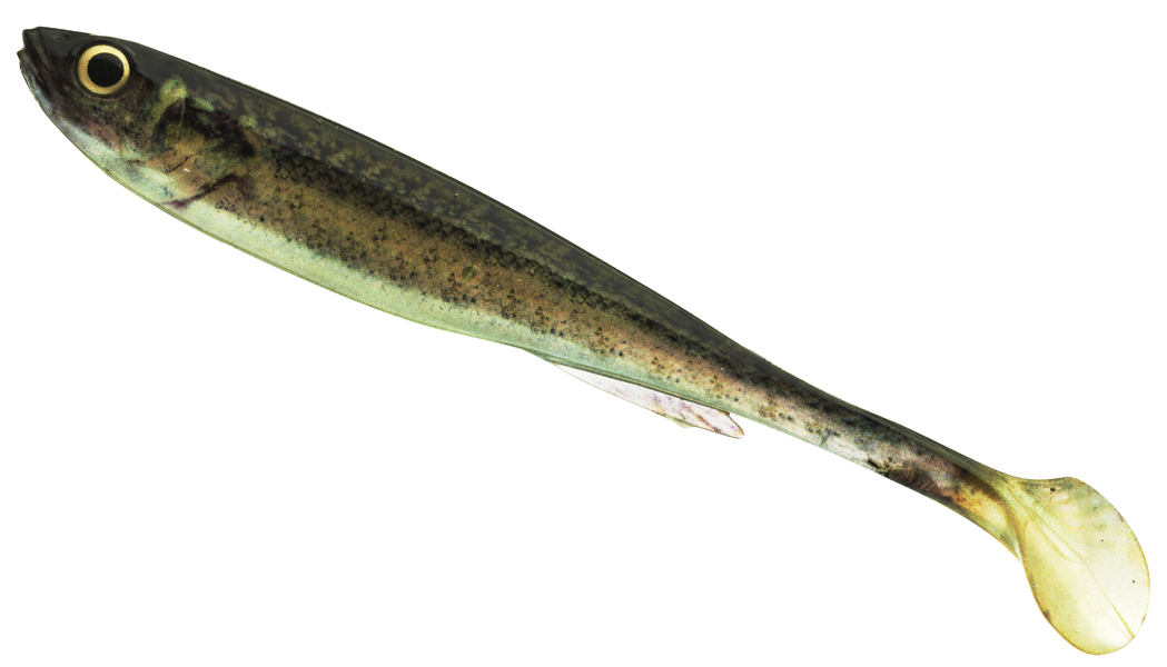 Daiwa Prorex Real Slim Shad Y Live 7,5 cm - 3