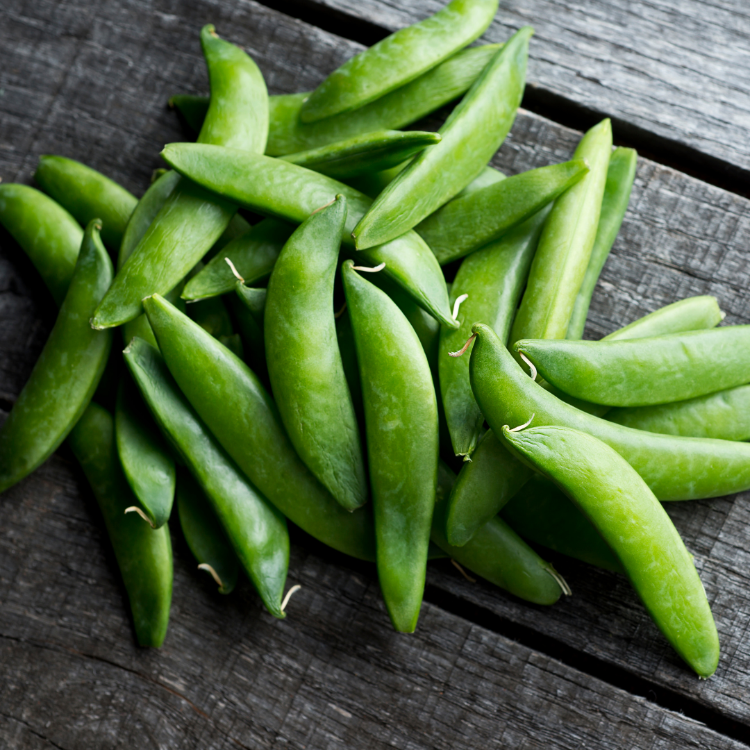 Bild på en högväxande brytsockerärt. Sugar Snap, salladsärt. 