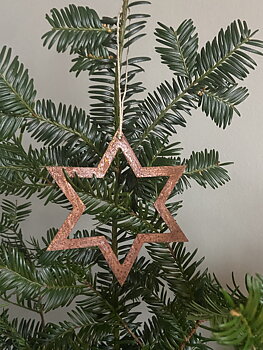 ROSTIG JULSTJÄRNA 