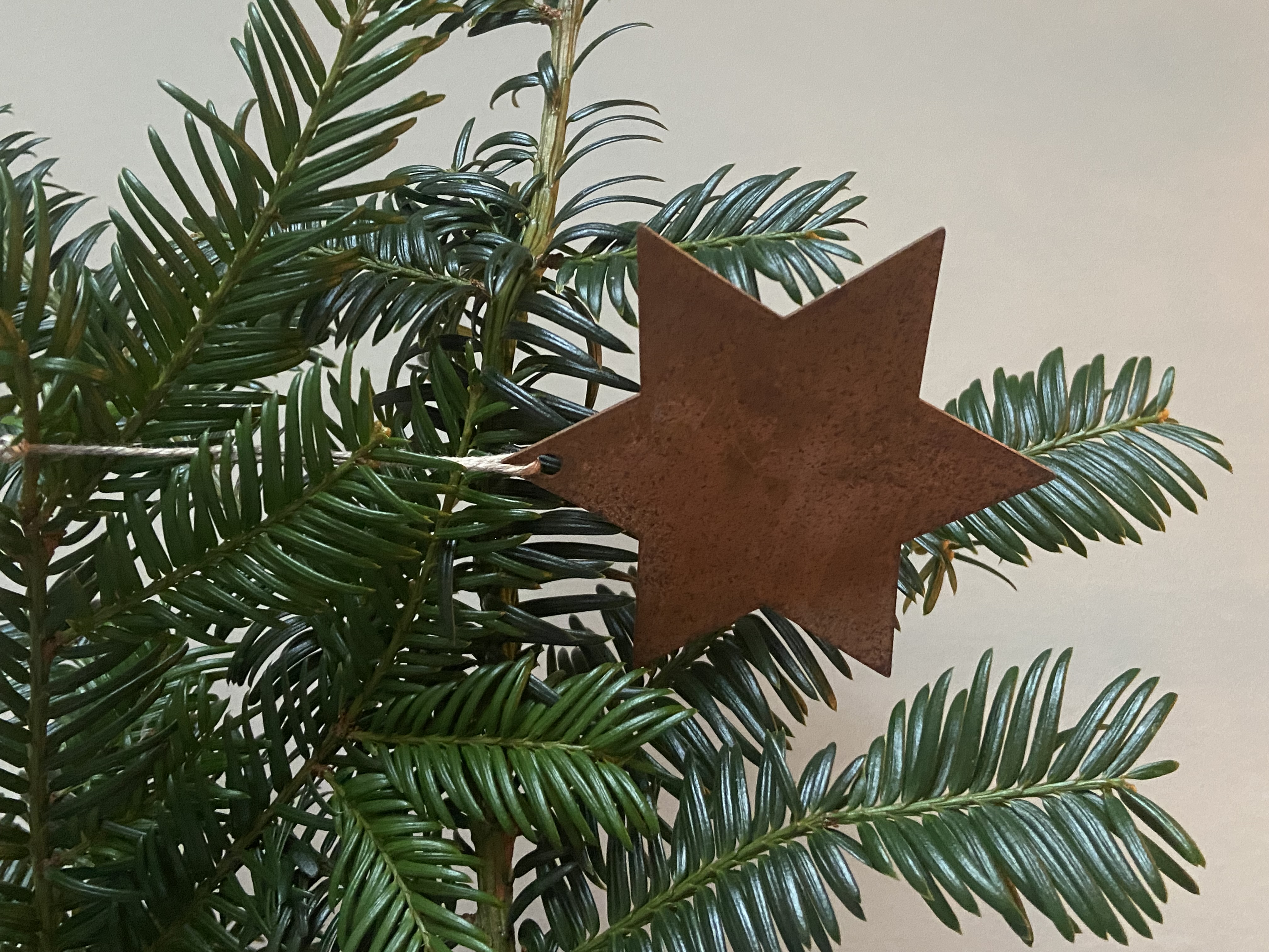 ROSTIG JULSTJÄRNA 