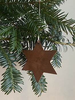 ROSTIG JULSTJÄRNA 